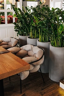 Кресло Serpentin | Серпентин